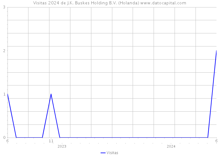 Visitas 2024 de J.K. Buskes Holding B.V. (Holanda) 