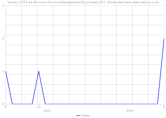 Visitas 2024 de Moonen Horeca Management Exploitatie B.V. (Holanda) 