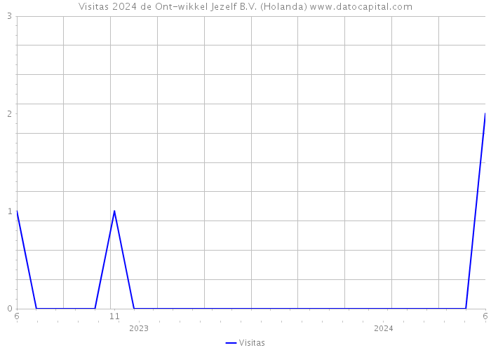 Visitas 2024 de Ont-wikkel Jezelf B.V. (Holanda) 