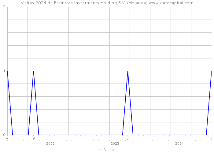 Visitas 2024 de Braintree Investments Holding B.V. (Holanda) 