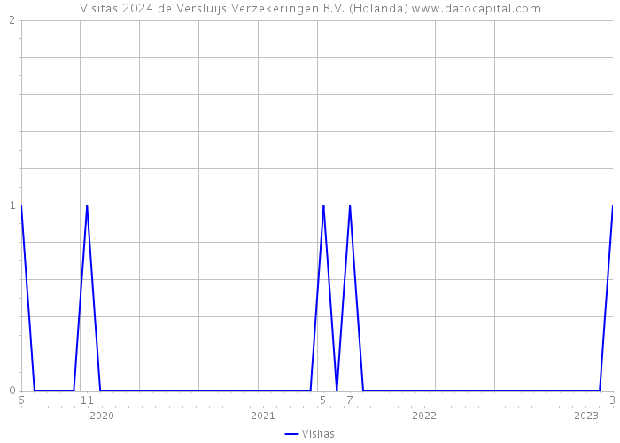 Visitas 2024 de Versluijs Verzekeringen B.V. (Holanda) 