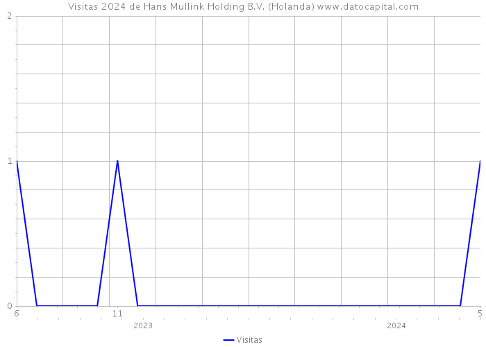 Visitas 2024 de Hans Mullink Holding B.V. (Holanda) 