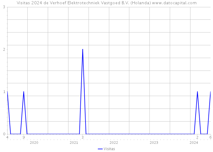 Visitas 2024 de Verhoef Elektrotechniek Vastgoed B.V. (Holanda) 