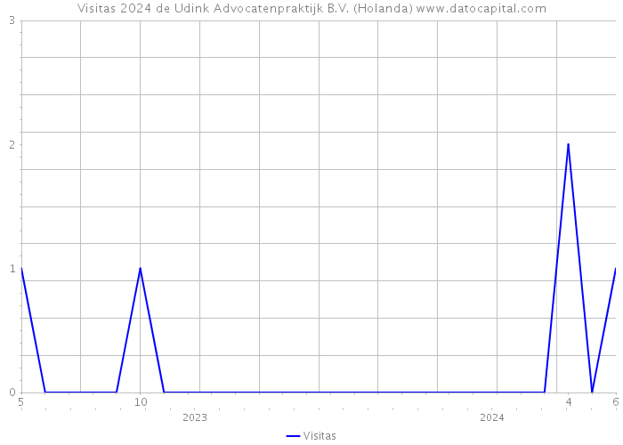 Visitas 2024 de Udink Advocatenpraktijk B.V. (Holanda) 