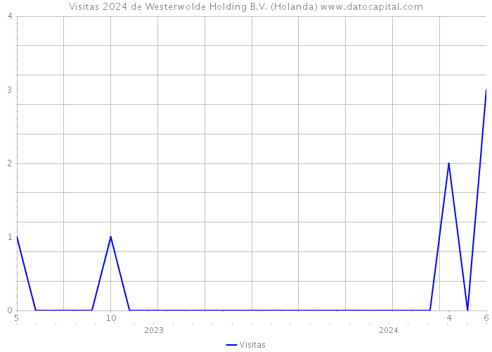 Visitas 2024 de Westerwolde Holding B.V. (Holanda) 