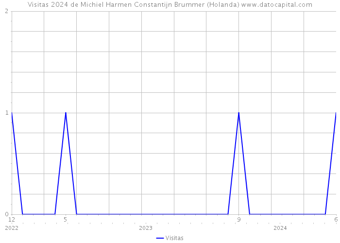 Visitas 2024 de Michiel Harmen Constantijn Brummer (Holanda) 