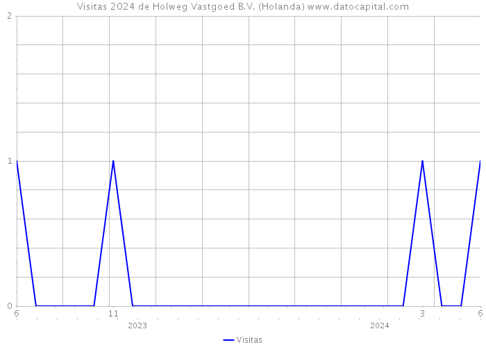 Visitas 2024 de Holweg Vastgoed B.V. (Holanda) 