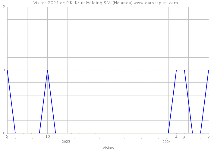 Visitas 2024 de P.K. Kruit Holding B.V. (Holanda) 