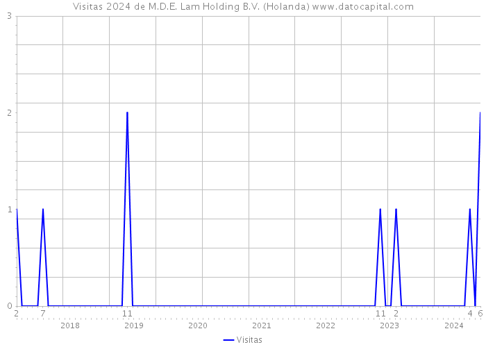 Visitas 2024 de M.D.E. Lam Holding B.V. (Holanda) 