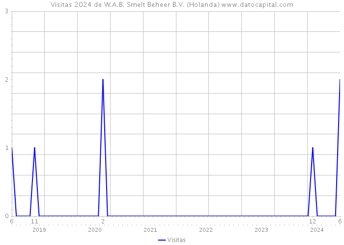 Visitas 2024 de W.A.B. Smelt Beheer B.V. (Holanda) 