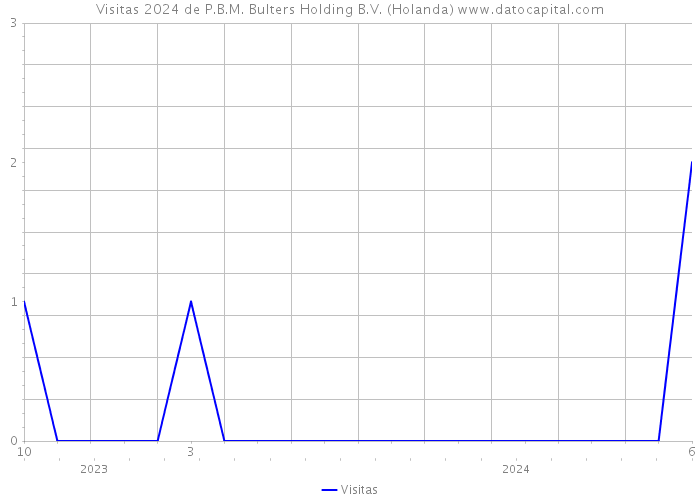 Visitas 2024 de P.B.M. Bulters Holding B.V. (Holanda) 