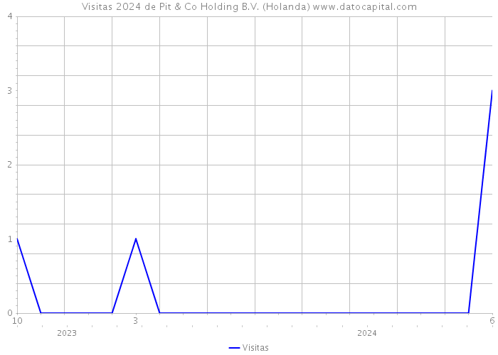 Visitas 2024 de Pit & Co Holding B.V. (Holanda) 