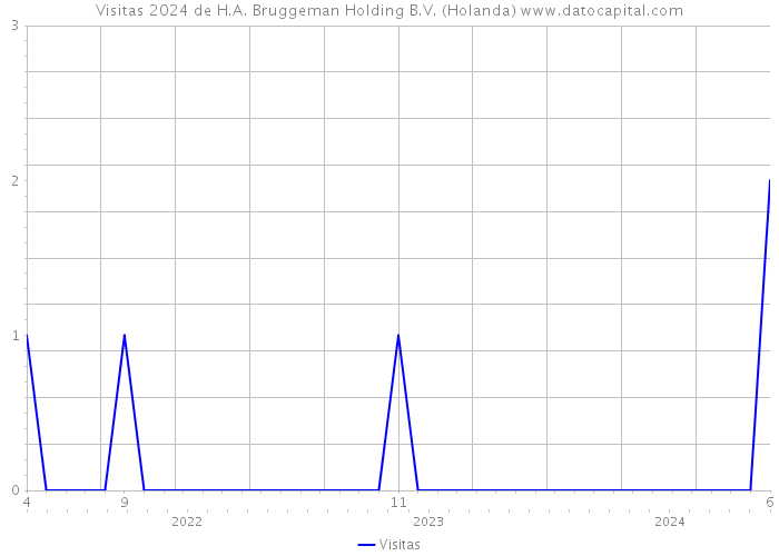 Visitas 2024 de H.A. Bruggeman Holding B.V. (Holanda) 