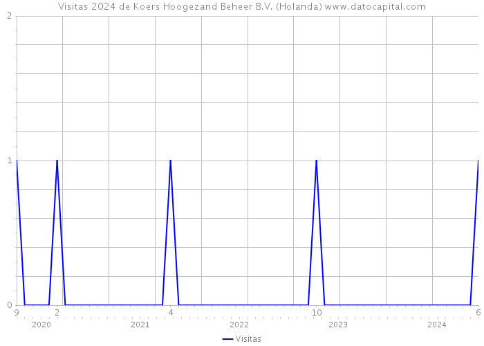 Visitas 2024 de Koers Hoogezand Beheer B.V. (Holanda) 