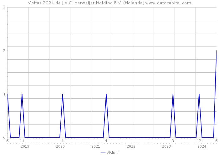 Visitas 2024 de J.A.C. Herweijer Holding B.V. (Holanda) 