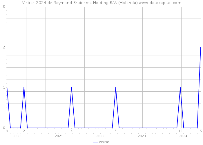 Visitas 2024 de Raymond Bruinsma Holding B.V. (Holanda) 
