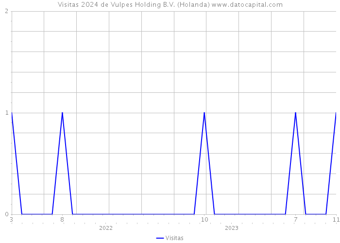 Visitas 2024 de Vulpes Holding B.V. (Holanda) 
