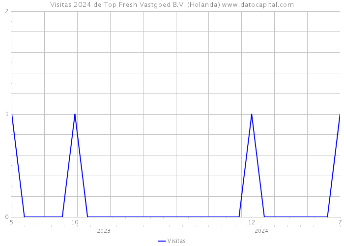 Visitas 2024 de Top Fresh Vastgoed B.V. (Holanda) 