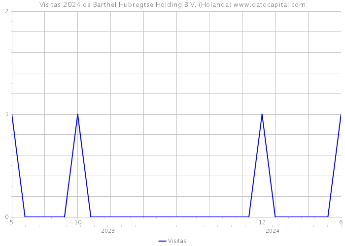 Visitas 2024 de Barthel Hubregtse Holding B.V. (Holanda) 