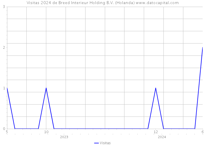 Visitas 2024 de Breed Interieur Holding B.V. (Holanda) 