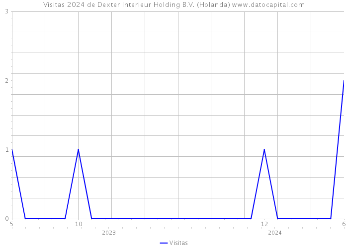 Visitas 2024 de Dexter Interieur Holding B.V. (Holanda) 