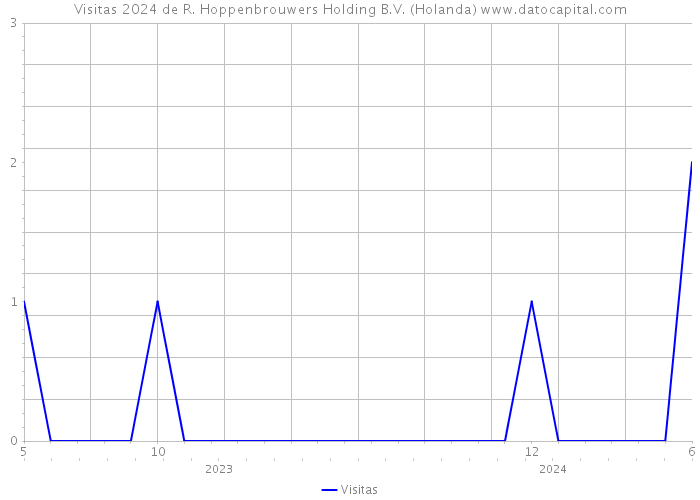 Visitas 2024 de R. Hoppenbrouwers Holding B.V. (Holanda) 