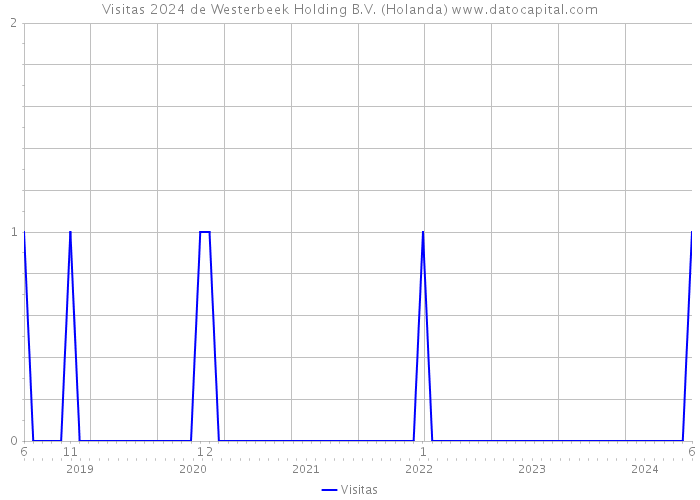 Visitas 2024 de Westerbeek Holding B.V. (Holanda) 