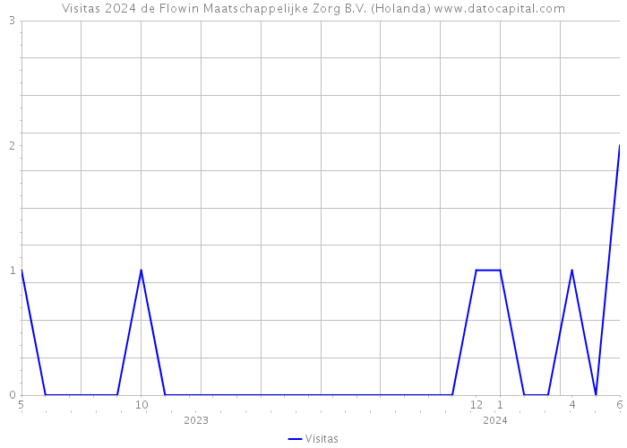 Visitas 2024 de Flowin Maatschappelijke Zorg B.V. (Holanda) 