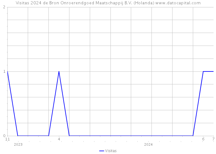 Visitas 2024 de Bron Onroerendgoed Maatschappij B.V. (Holanda) 