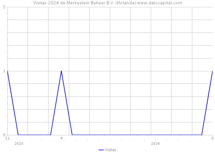 Visitas 2024 de Merkestein Beheer B.V. (Holanda) 