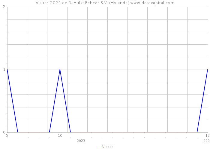 Visitas 2024 de R. Hulst Beheer B.V. (Holanda) 