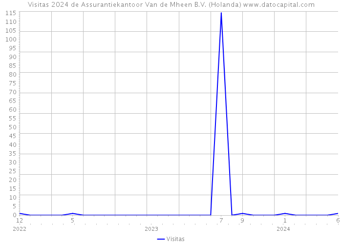 Visitas 2024 de Assurantiekantoor Van de Mheen B.V. (Holanda) 