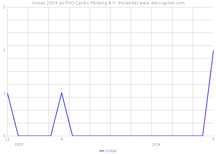 Visitas 2024 de PVO Cardio Holding B.V. (Holanda) 