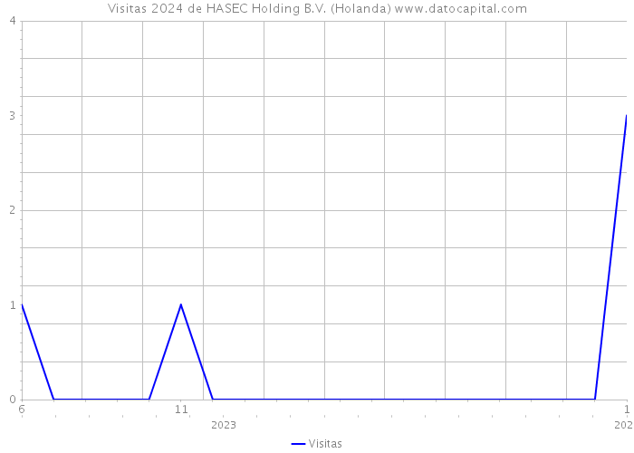 Visitas 2024 de HASEC Holding B.V. (Holanda) 