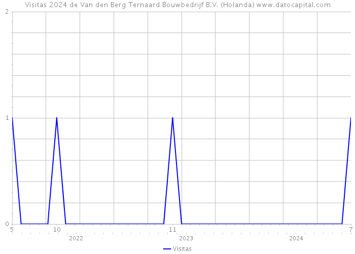 Visitas 2024 de Van den Berg Ternaard Bouwbedrijf B.V. (Holanda) 