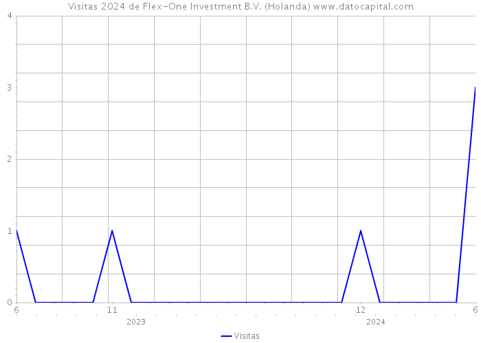 Visitas 2024 de Flex-One Investment B.V. (Holanda) 