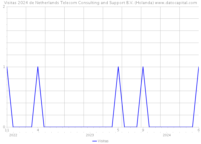 Visitas 2024 de Netherlands Telecom Consulting and Support B.V. (Holanda) 