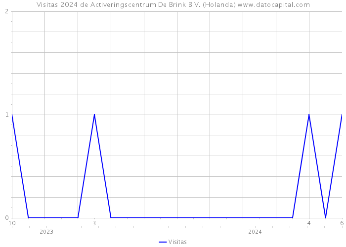 Visitas 2024 de Activeringscentrum De Brink B.V. (Holanda) 