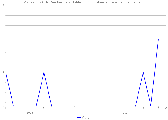 Visitas 2024 de Rini Bongers Holding B.V. (Holanda) 