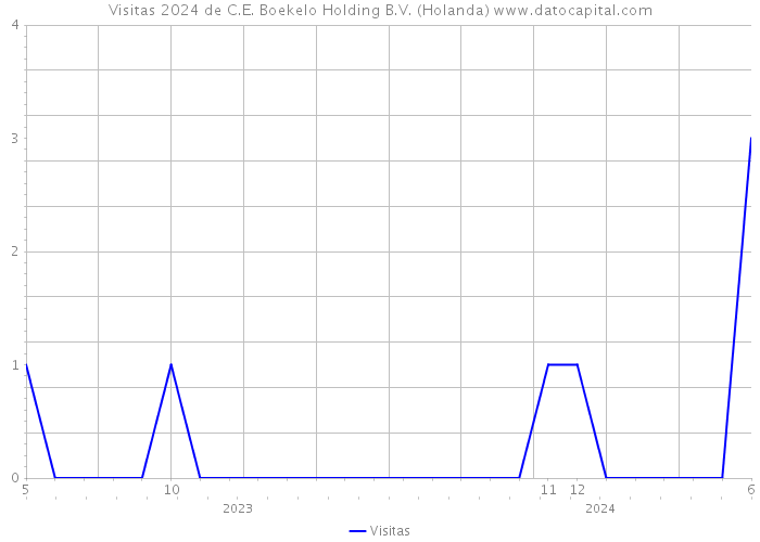 Visitas 2024 de C.E. Boekelo Holding B.V. (Holanda) 