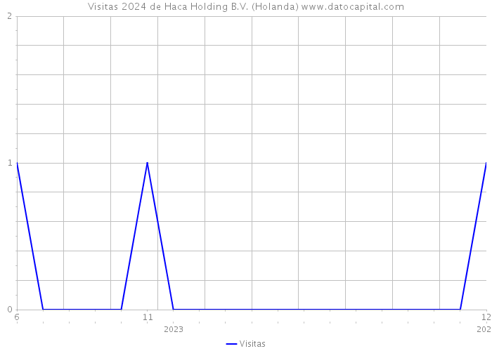 Visitas 2024 de Haca Holding B.V. (Holanda) 