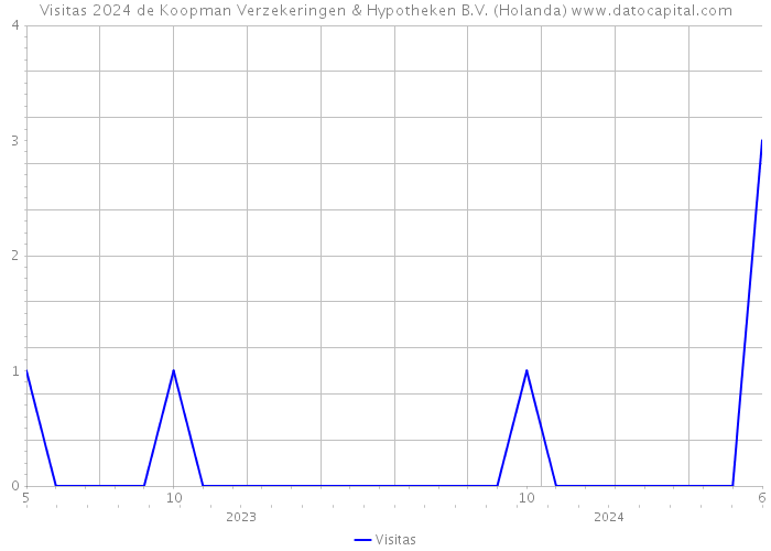 Visitas 2024 de Koopman Verzekeringen & Hypotheken B.V. (Holanda) 