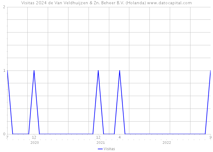 Visitas 2024 de Van Veldhuijzen & Zn. Beheer B.V. (Holanda) 