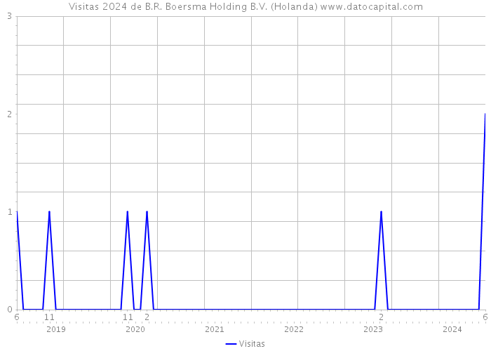 Visitas 2024 de B.R. Boersma Holding B.V. (Holanda) 