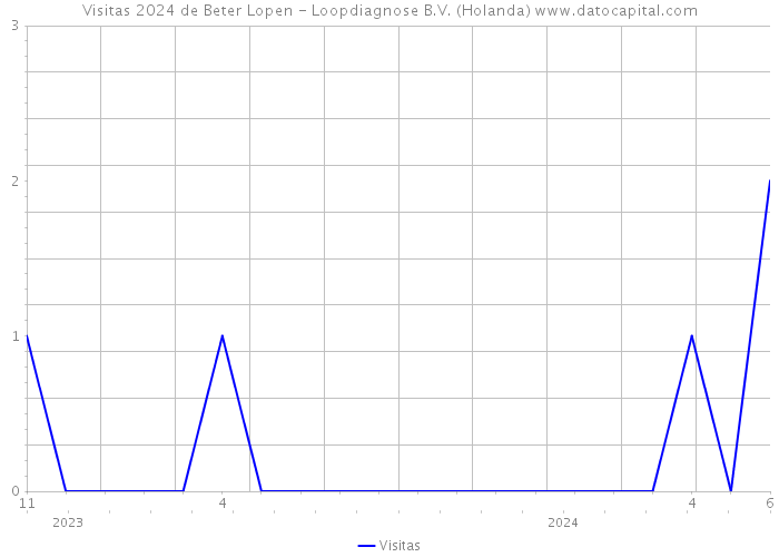 Visitas 2024 de Beter Lopen - Loopdiagnose B.V. (Holanda) 
