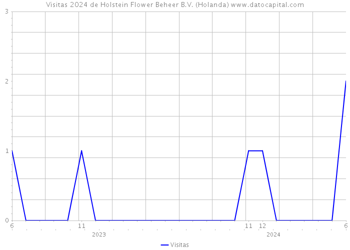 Visitas 2024 de Holstein Flower Beheer B.V. (Holanda) 