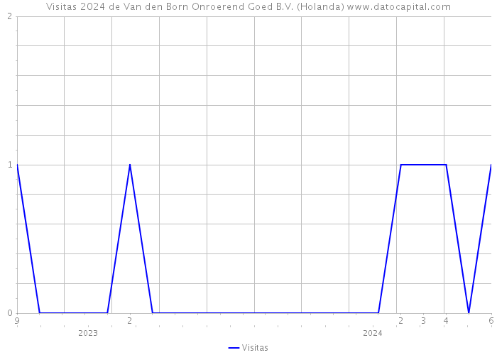 Visitas 2024 de Van den Born Onroerend Goed B.V. (Holanda) 