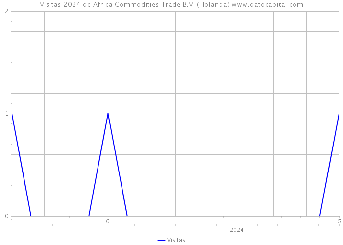Visitas 2024 de Africa Commodities Trade B.V. (Holanda) 