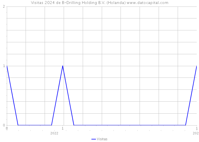 Visitas 2024 de B-Drilling Holding B.V. (Holanda) 