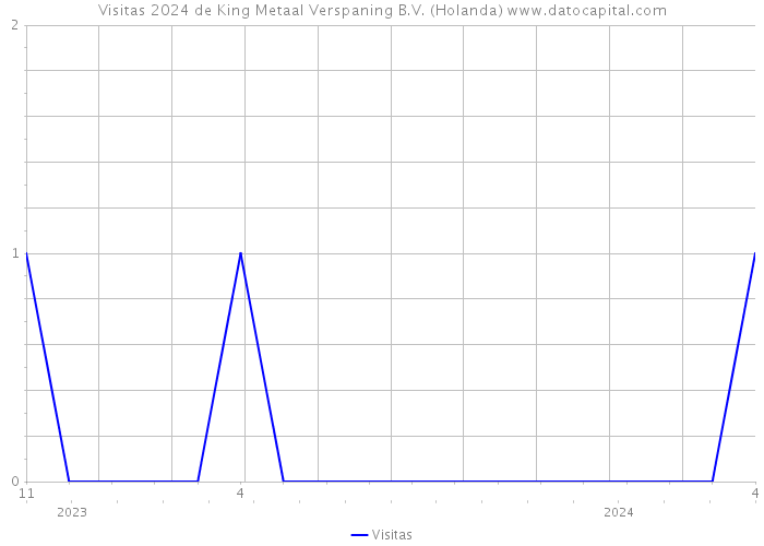 Visitas 2024 de King Metaal Verspaning B.V. (Holanda) 